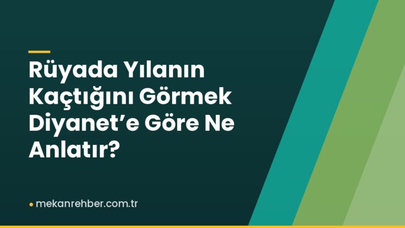 Rüyada Yılanın Kaçtığını Görmek Diyanet’e Göre Ne Anlatır?