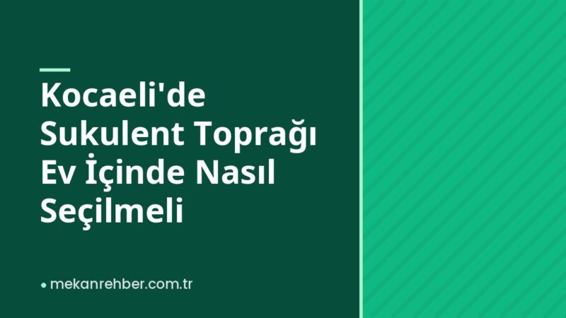 Kocaeli’de Sukulent Toprağı Ev İçinde Nasıl Seçilmeli