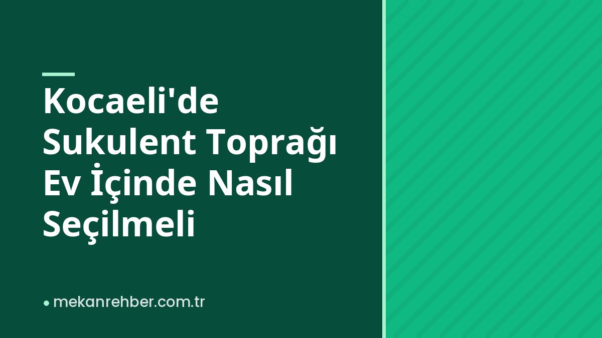 Kocaeli’de Sukulent Toprağı Ev İçinde Nasıl Seçilmeli